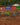 MX1GP Brazil: A Growing Powerhouse in Global Motocross